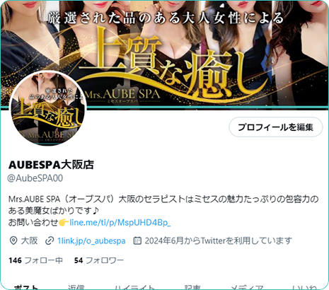 公式X